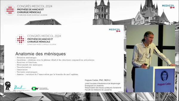 Anatomy of the menisci