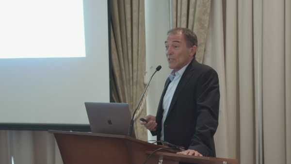 Menisci: Anatomy and Biomechanics