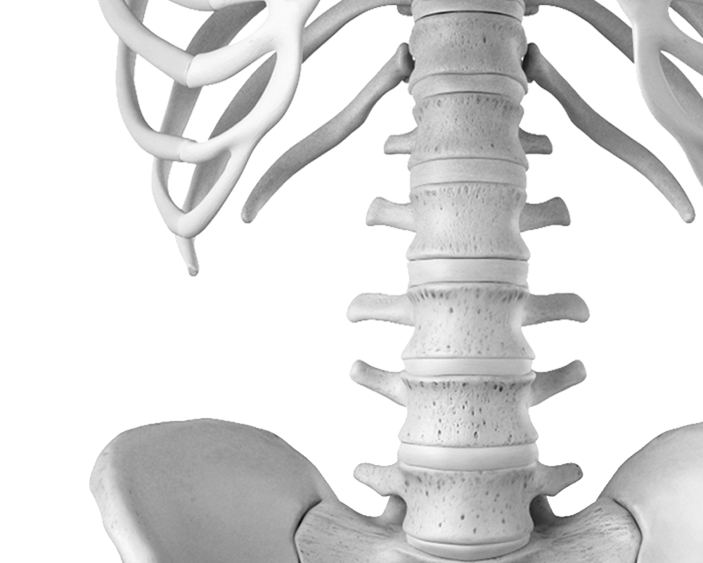 Pathologie du dos